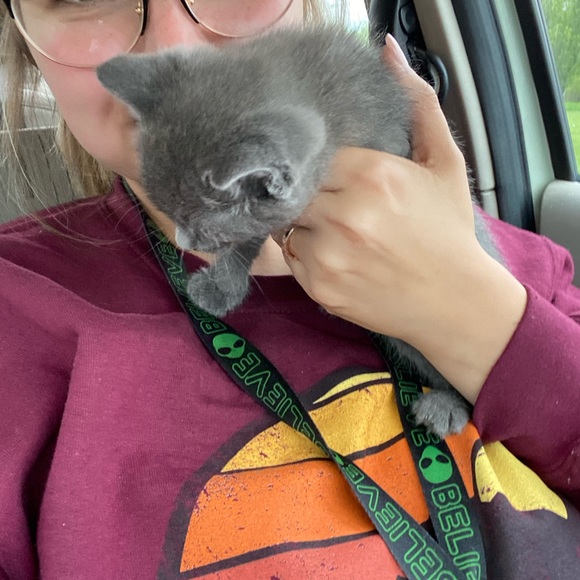 Meet your Posher, Destiny - Picture 1 of 1